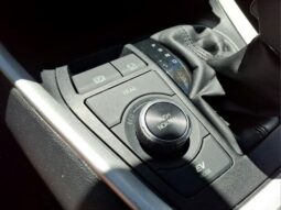 
 Toyota RAV4 Hybrid full									