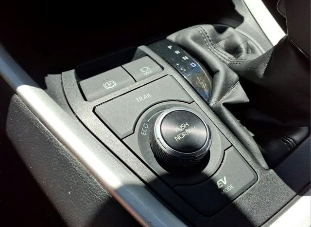 
 Toyota RAV4 Hybrid full									