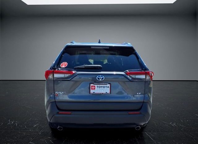
 Toyota RAV4 Hybrid full									