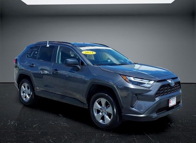 
 Toyota RAV4 Hybrid full									