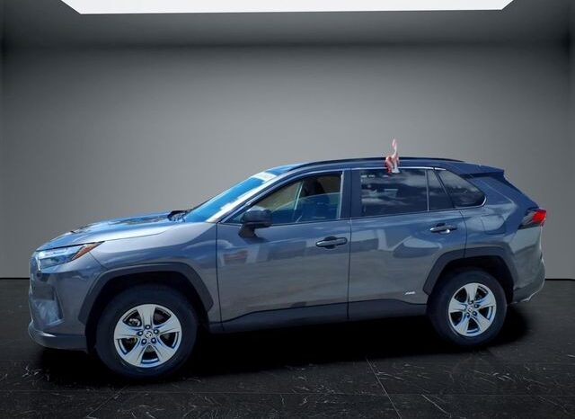 
 Toyota RAV4 Hybrid full									