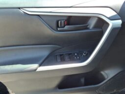 
 Toyota RAV4 Hybrid full									