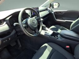 
 Toyota RAV4 Hybrid full									