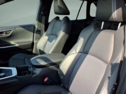 
 Toyota RAV4 Hybrid full									
