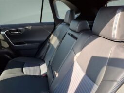 
 Toyota RAV4 Hybrid full									