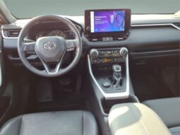 
 Toyota RAV4 Hybrid full									
