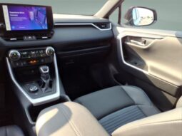 
 Toyota RAV4 Hybrid full									