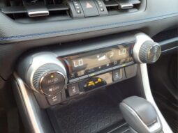 
 Toyota RAV4 Hybrid full									