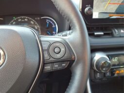 
 Toyota RAV4 Hybrid full									