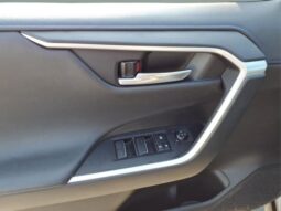 
 Toyota RAV4 Hybrid full									