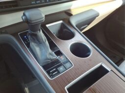 
 Toyota Sienna full									