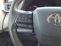 
 Toyota Sienna full									