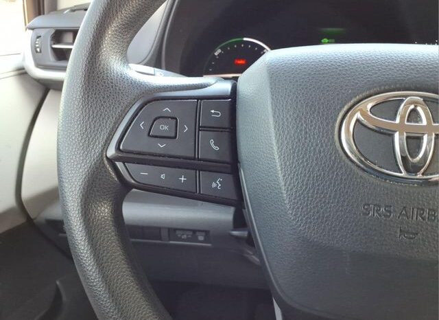
 Toyota Sienna full									