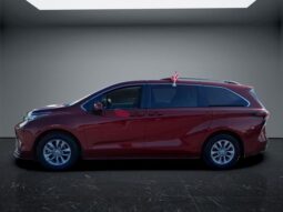 
 Toyota Sienna full									