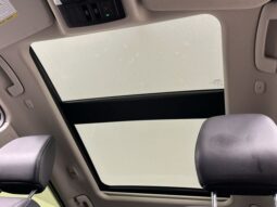 
 Nissan Rogue full									