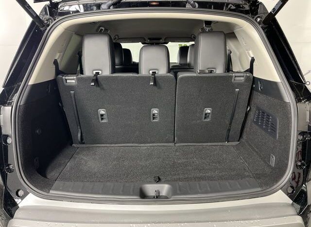 
 Nissan Pathfinder full									