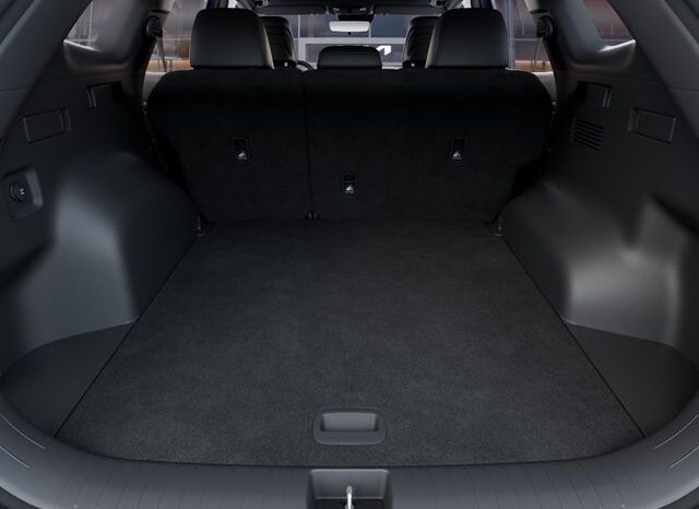 
 Kia Sportage full									