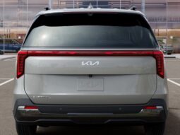 Kia Carnival full