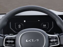 Kia Carnival full