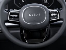 Kia Carnival full