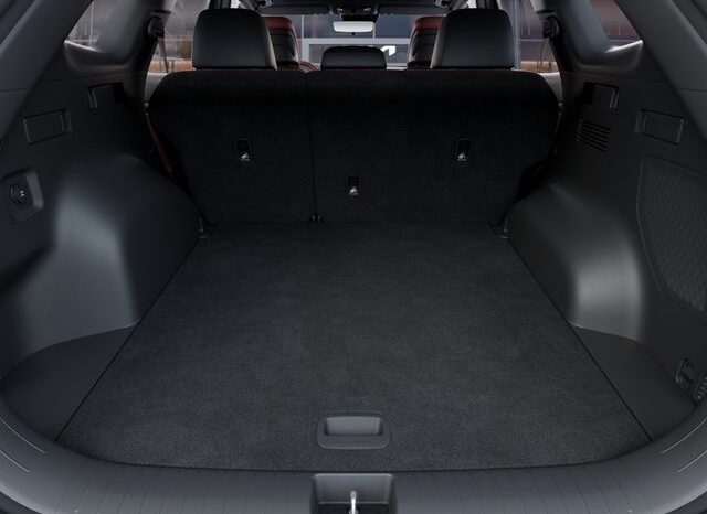 
 Kia Sportage Hybrid full									