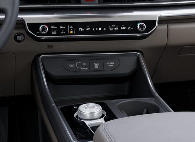
 Kia Carnival Hybrid full									