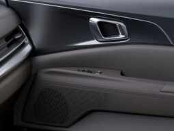 Kia Carnival Hybrid full