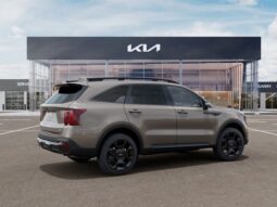 
 Kia Sorento full									