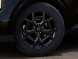 
 Kia Carnival Hybrid full									