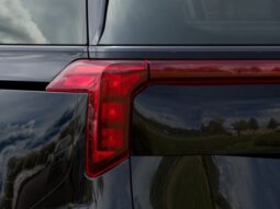 
 Kia Carnival Hybrid full									