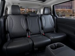 
 Kia Carnival Hybrid full									