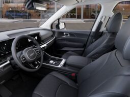 
 Kia Carnival Hybrid full									