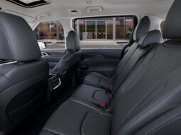 
 Kia Carnival Hybrid full									