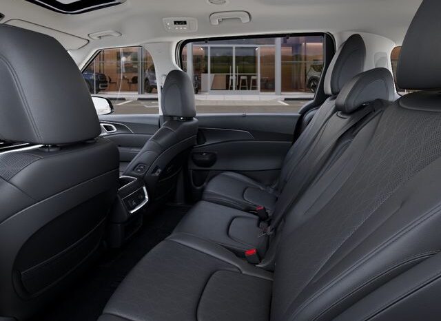 
 Kia Carnival Hybrid full									