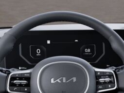 
 Kia Carnival Hybrid full									
