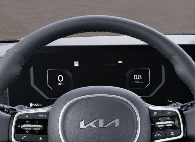 
 Kia Carnival Hybrid full									