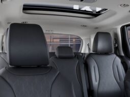 
 Kia Carnival Hybrid full									
