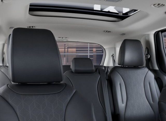 
 Kia Carnival Hybrid full									