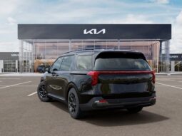 
 Kia Carnival Hybrid full									