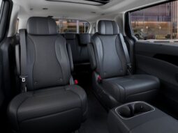 Kia Carnival full