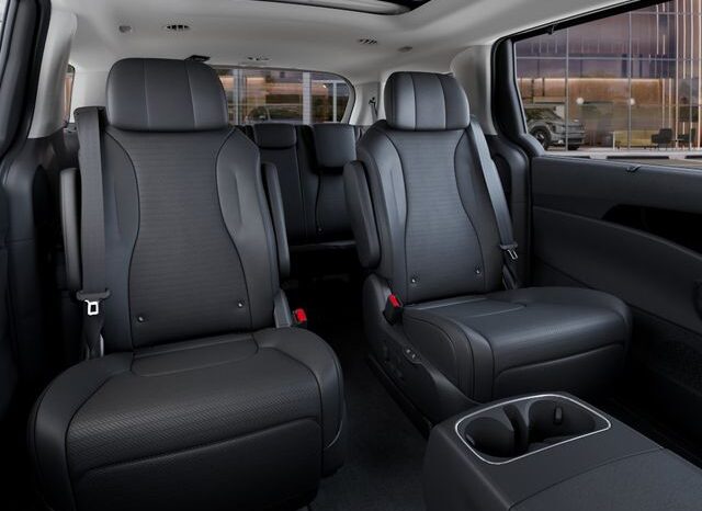
 Kia Carnival full									