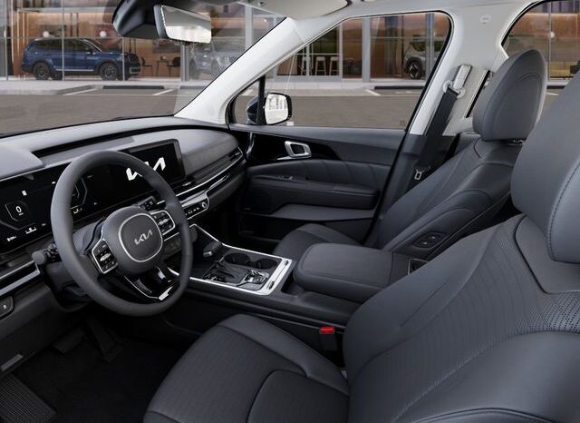 
 Kia Carnival full									
