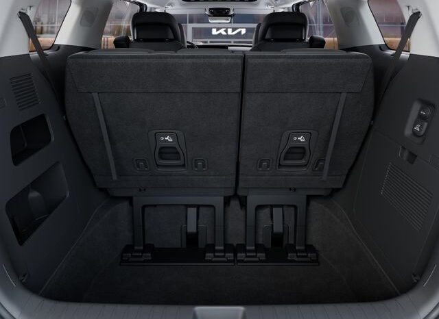 
 Kia Carnival full									