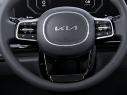 Kia Carnival full