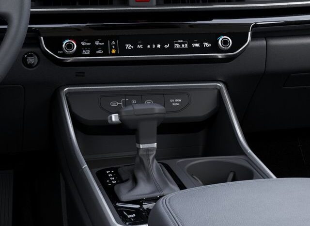 
 Kia Carnival full									
