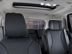 Kia Carnival full
