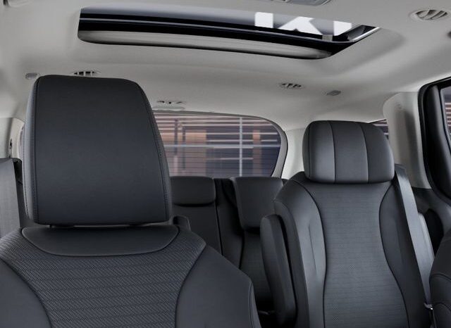 
 Kia Carnival full									