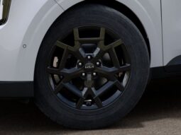 Kia Carnival full