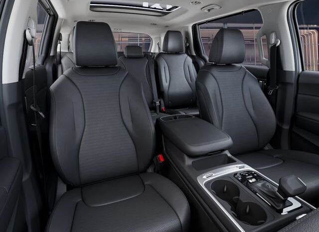 
 Kia Carnival full									