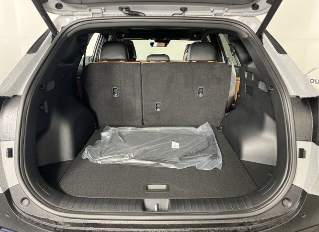 
 Kia Sportage full									